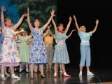 The Pajama Game